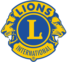 2019 Lions Logo